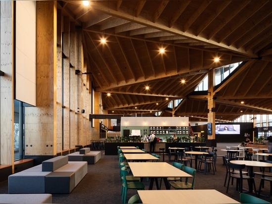 Nelson Airport, Sublime Cofee Project feat. TOOU Chairs