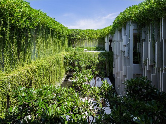 This New Resort Spa Is Covered In Hanging Gardens