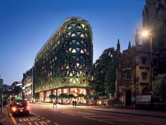 The largest green wall in Europe will absorb 8 tons of air pollution per year