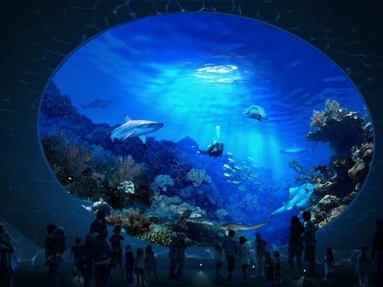 A “Sharkulus” will allow visitors to gaze into a 325,000-gallon tank teeming with marine life.