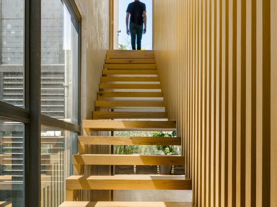 In This Mexico City home, the Staircase Is a Spectacle