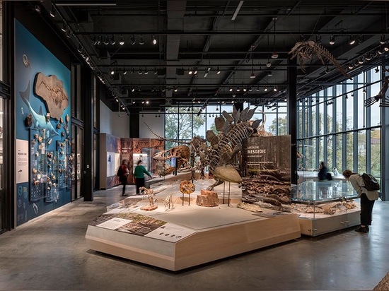 Burke Museum of Natural History and Culture by Olson Kundig