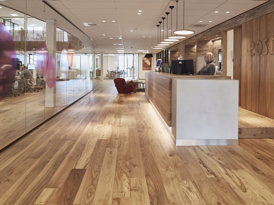 Dennebos Flooring engineered Elm floor for circular headoffice eosta