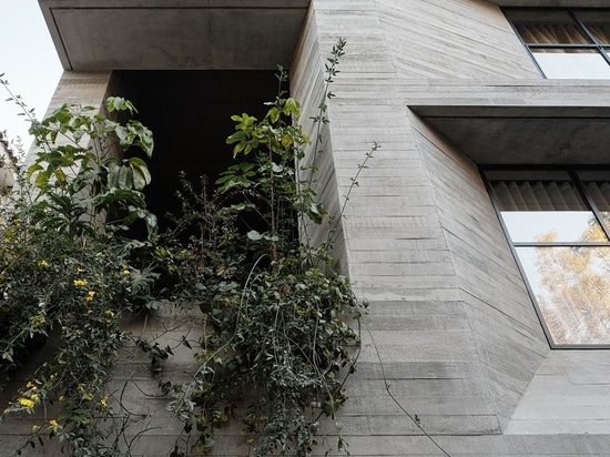 Studio Rick Joy Combines Brutalist Rigour with Sculptural Finesse in an Apartment Building in Mexico City