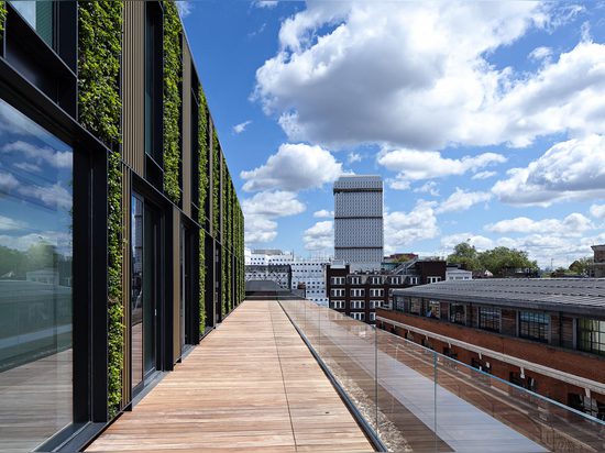 A 2,100 sq ft sun terrace on the fourth level was designed to complement the office floors