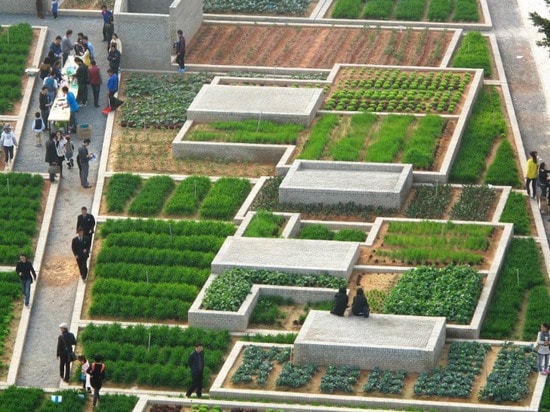 Colossal Green Value Farm Flourishes Within a Former Factory in China