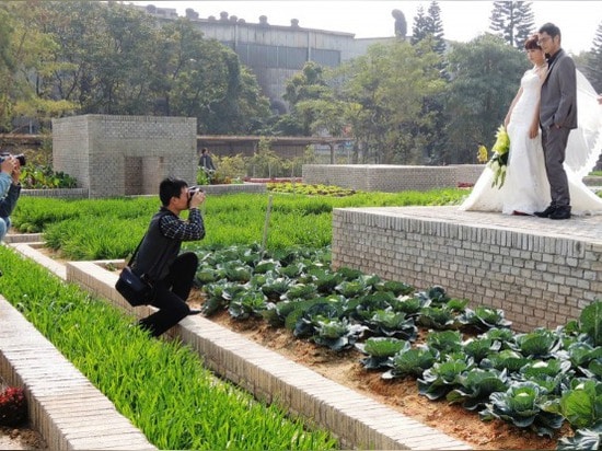 Colossal Green Value Farm Flourishes Within a Former Factory in China