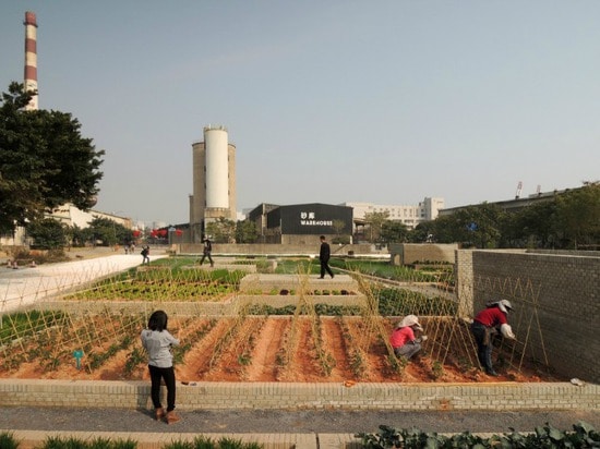 Colossal Green Value Farm Flourishes Within a Former Factory in China