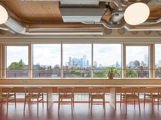 Waugh Thistleton’s new London office champions wellbeing