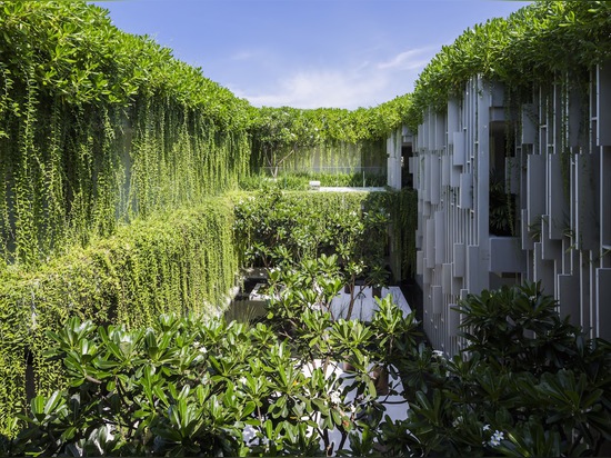 Lush living plants engulf the green-roofed Pure Spa in Vietnam