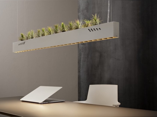 Pure BioAir, a Lamp by Olev that Sanitises Interiors