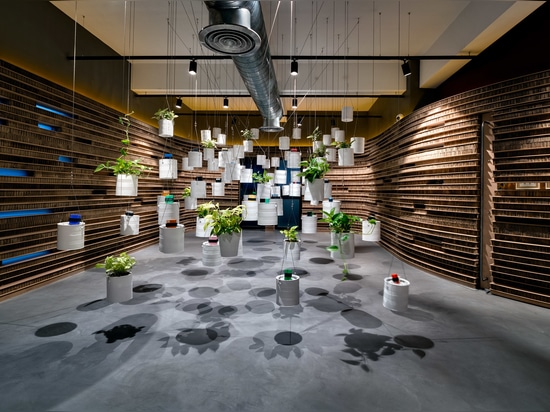 Tins filled with plants and electronic components hang from the ceiling