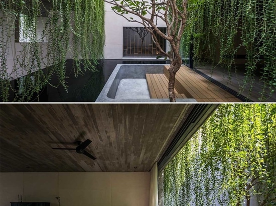 Extensive Hanging Plants Soften The Use Of Concrete In This Homes Design