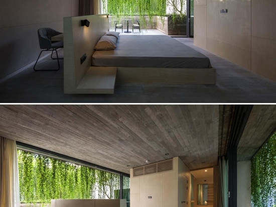 Extensive Hanging Plants Soften The Use Of Concrete In This Homes Design