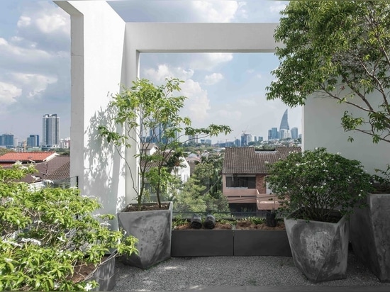 trees in large planter boxes offer some privacy and shade to the roof terrace