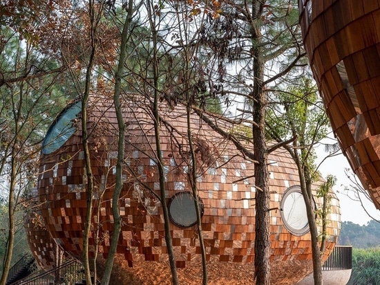 ZJJZ clads ellipsoidal guest houses in mirrored aluminum + pine shingles in rural China