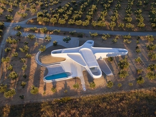 LASSA nestles its sunken KHI house and art space among the olive trees of greece