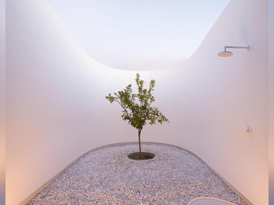 LASSA nestles its sunken KHI house and art space among the olive trees of greece