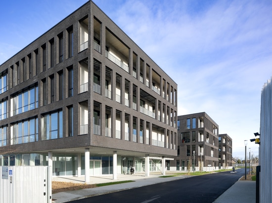 Contemporary terracotta offices