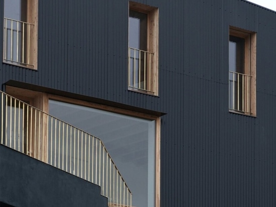 the house is clad in black corrugated sheet metal