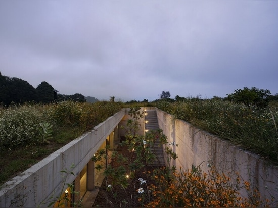 Francisco Pardo precisely cuts into Mexico's landscape to embed the aguacates house