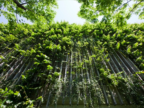 a system of vertical concrete louvers with green vines reduces direct sunlight while allowing the wind flow