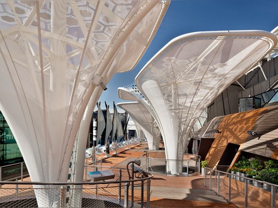 the canopies of the ‘idea trees’ balance modernity with the natural wooden paneling of the deck