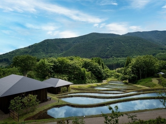 Kengo Kuma scatters hot spring hotel across sculpted rice terraces