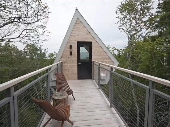 This Small Cabin Was Elevated To Be Among The Treetops