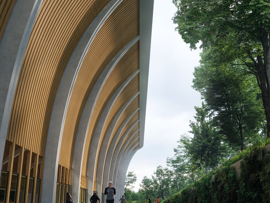 Zaha Hadid Architects nestles its proposed Aarhus stadium in the forests of Denmark