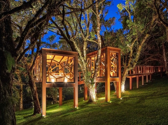 A Modern Tree House With Two Rooms
