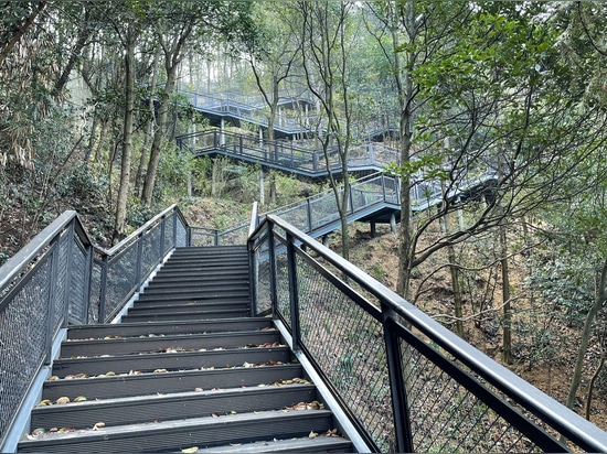 Bamboo plank road