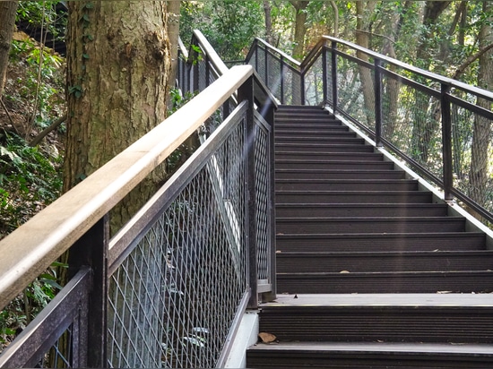 Bamboo plank road