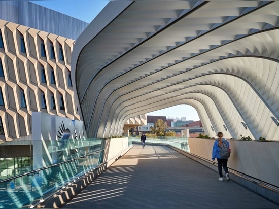 Shading helps keep the notorious solar heat gain of Arizona at bay.