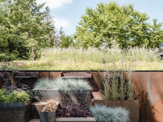 Studio North juxtaposes industrial garage with delicate garden in Calgary