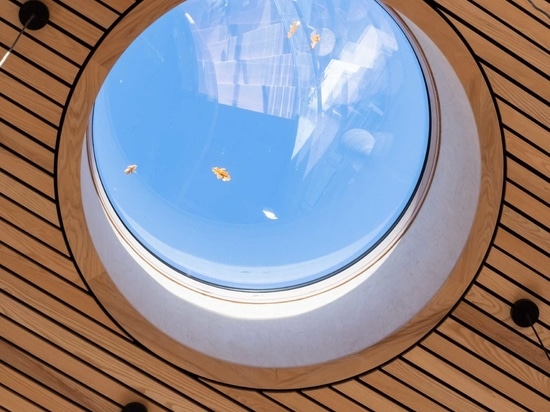 Curved Green Roofs Cover This Creekside Cabin