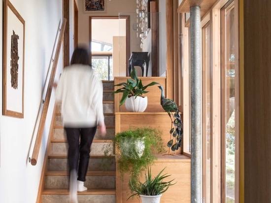 Curved Green Roofs Cover This Creekside Cabin