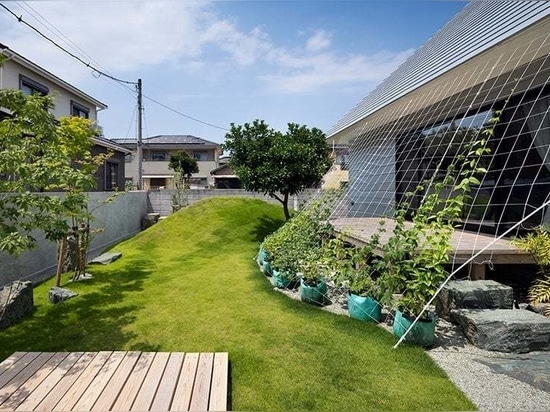 Roof terrace and courtyard enhance family bonds within japanese house by Container Design