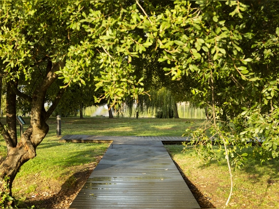 Mondego's Verde Park, Portugal