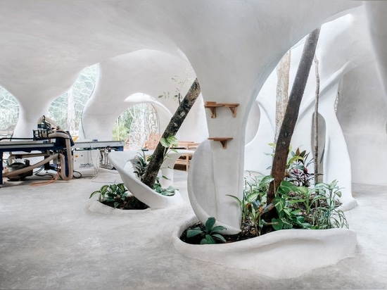 The interior contains organically shaped benches and planting beds