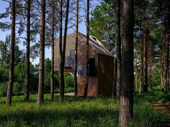 This Estonian treehouse was designed as a forest lookout