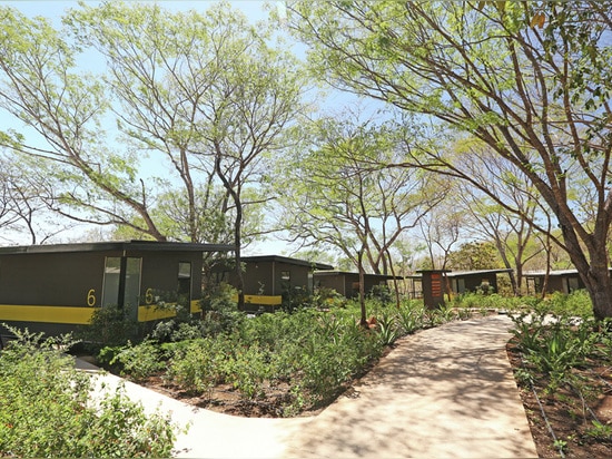 No Trees Were Removed To Create This Bungalow Hotel In Costa Rica