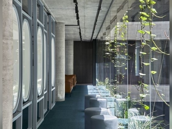 Greenery and natural light from the internal atrium offset the concrete and glass palette.