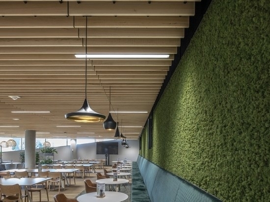 Biophilic design using solid wood