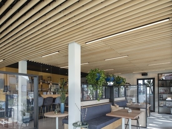 Biophilic design using solid wood