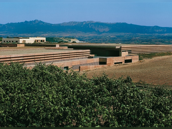 building the winery into the hill helps achieve the right conditions for making and aging wine