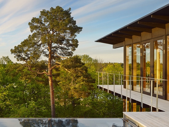 an angled concrete retaining wall cuts through the lower storey, delineating an infinity pool