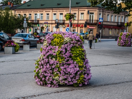 Blossoming Innovation: Flower Towers Flourish, Offering Environmental Benefits