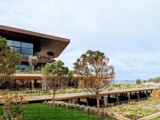 GREEN ROOF – Much more than a trend: a great way to help the environment.