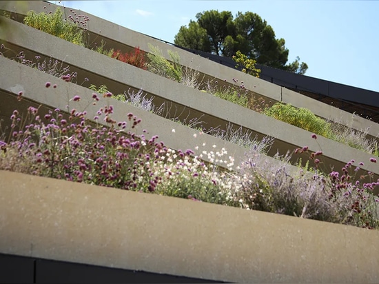 GREEN ROOF – Much more than a trend: a great way to help the environment.